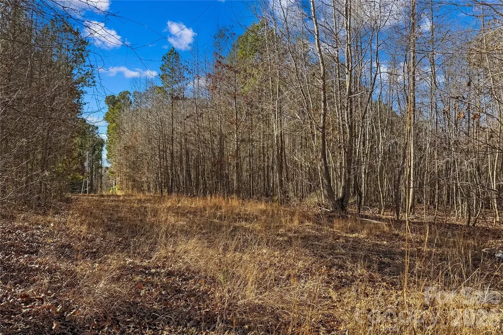 0 Morgan Road Gold Hill NC 28071