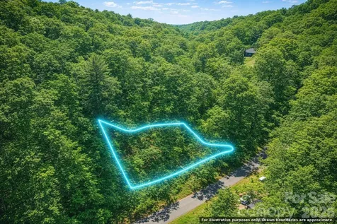0000 Rogers Cove Road Waynesville NC 28785