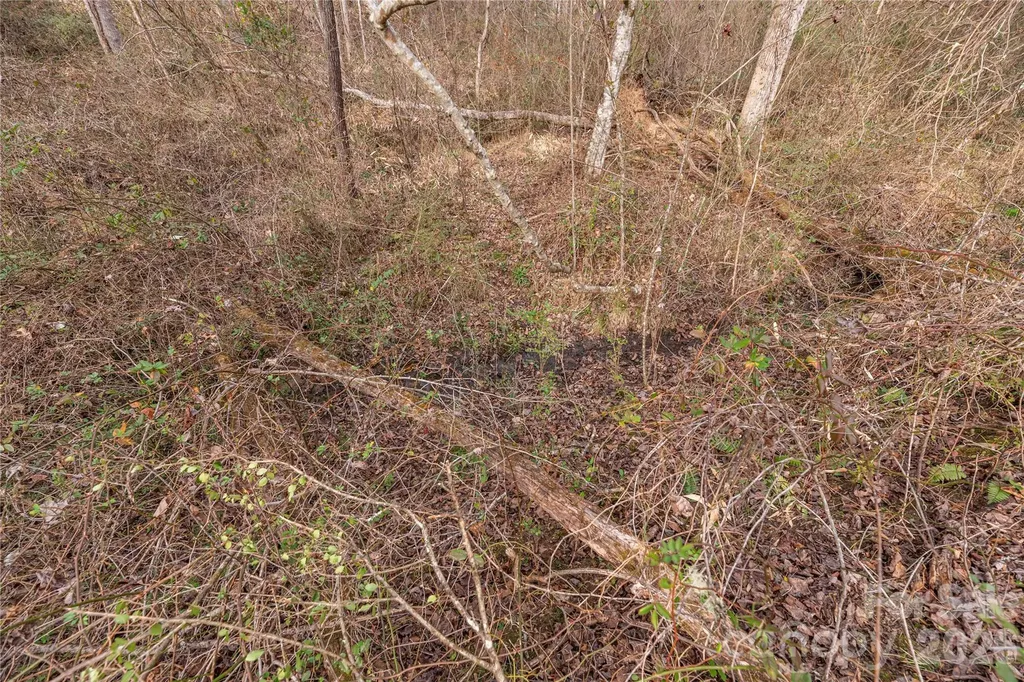 00 Carver Mountain Valley Sylva NC 28779