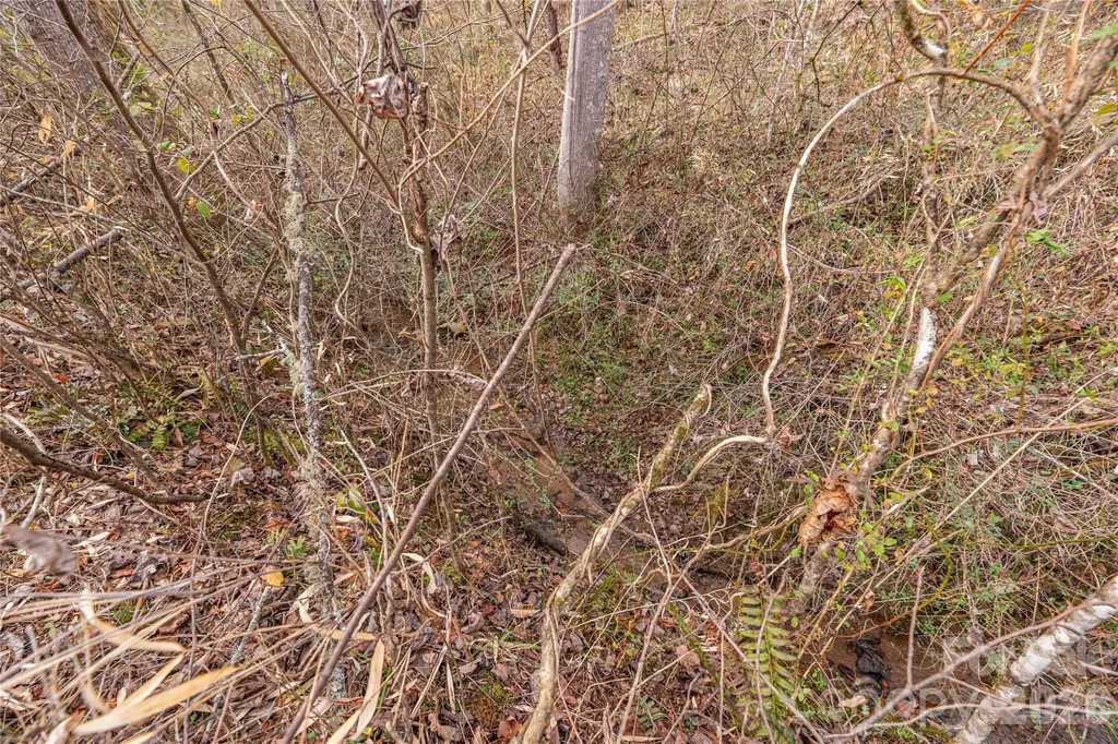 00 Carver Mountain Valley Sylva NC 28779