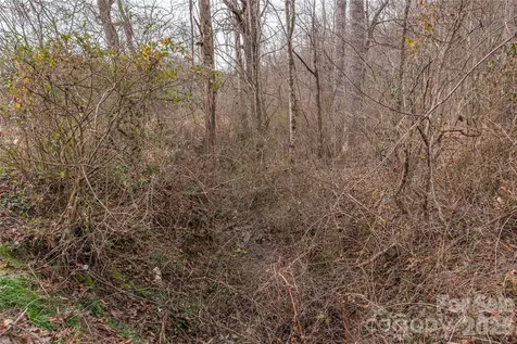 00 Carver Mountain Valley Sylva NC 28779