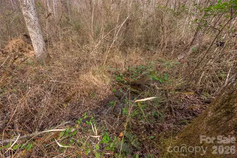 00 Carver Mountain Valley Sylva NC 28779