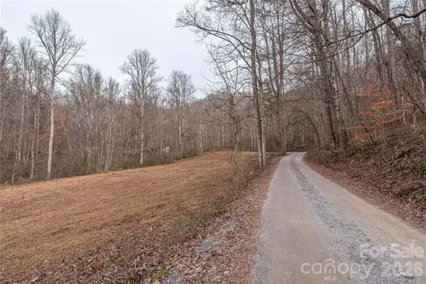 00 Carver Mountain Valley Sylva NC 28779