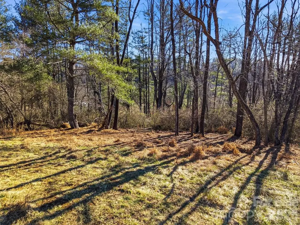 999 Ray Hill Road Mills River NC 28759