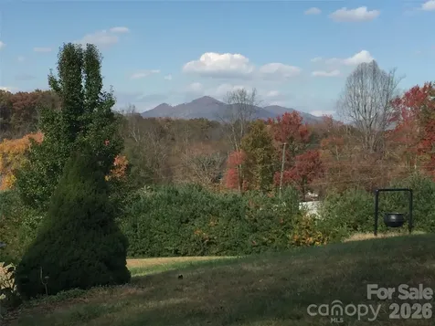 651 Case Cove Road Candler NC 28715