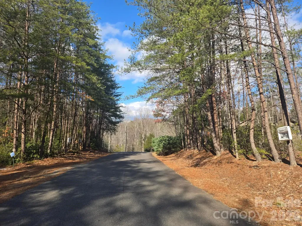 Lot 44 Dalton Court Lake Lure NC 28746