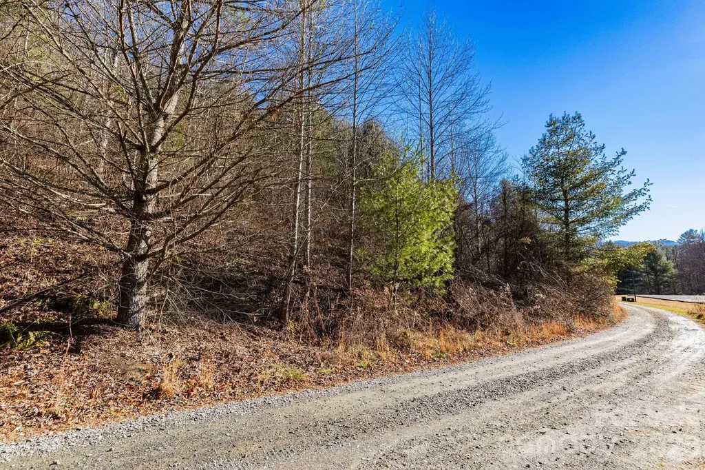 999 Rosalie Lane Waynesville NC 28785