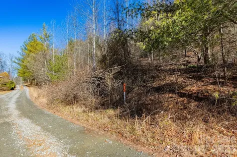 999 Rosalie Lane Waynesville NC 28785