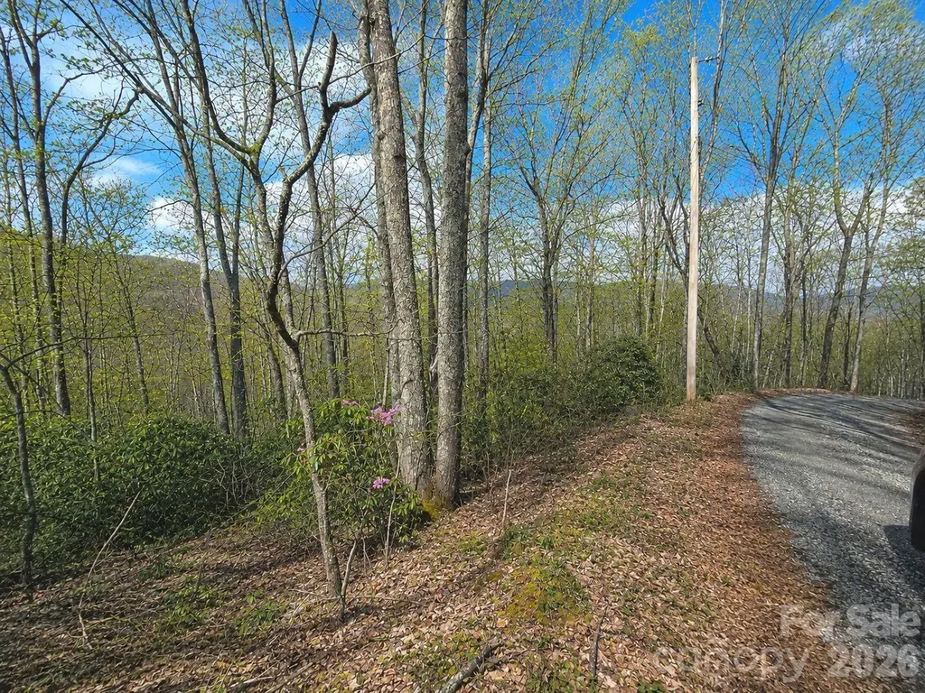 10 Tall Oaks Drive Maggie Valley NC 28751