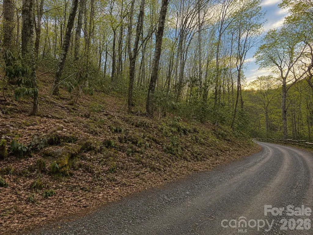 10 Tall Oaks Drive Maggie Valley NC 28751