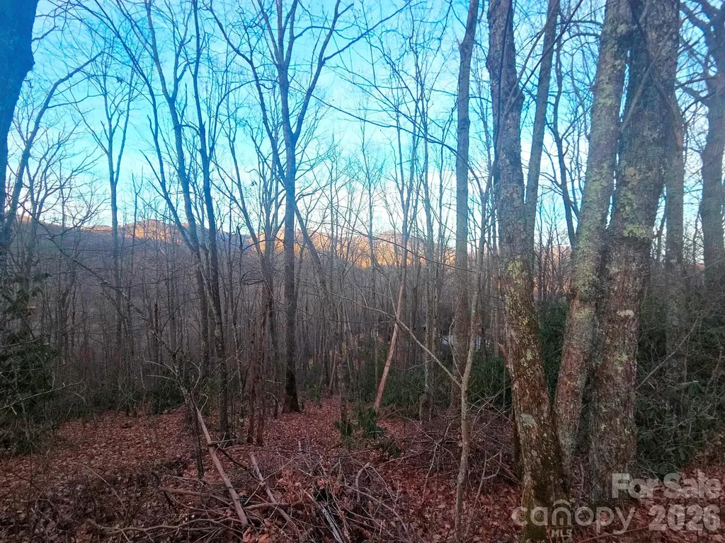 10 Tall Oaks Drive Maggie Valley NC 28751