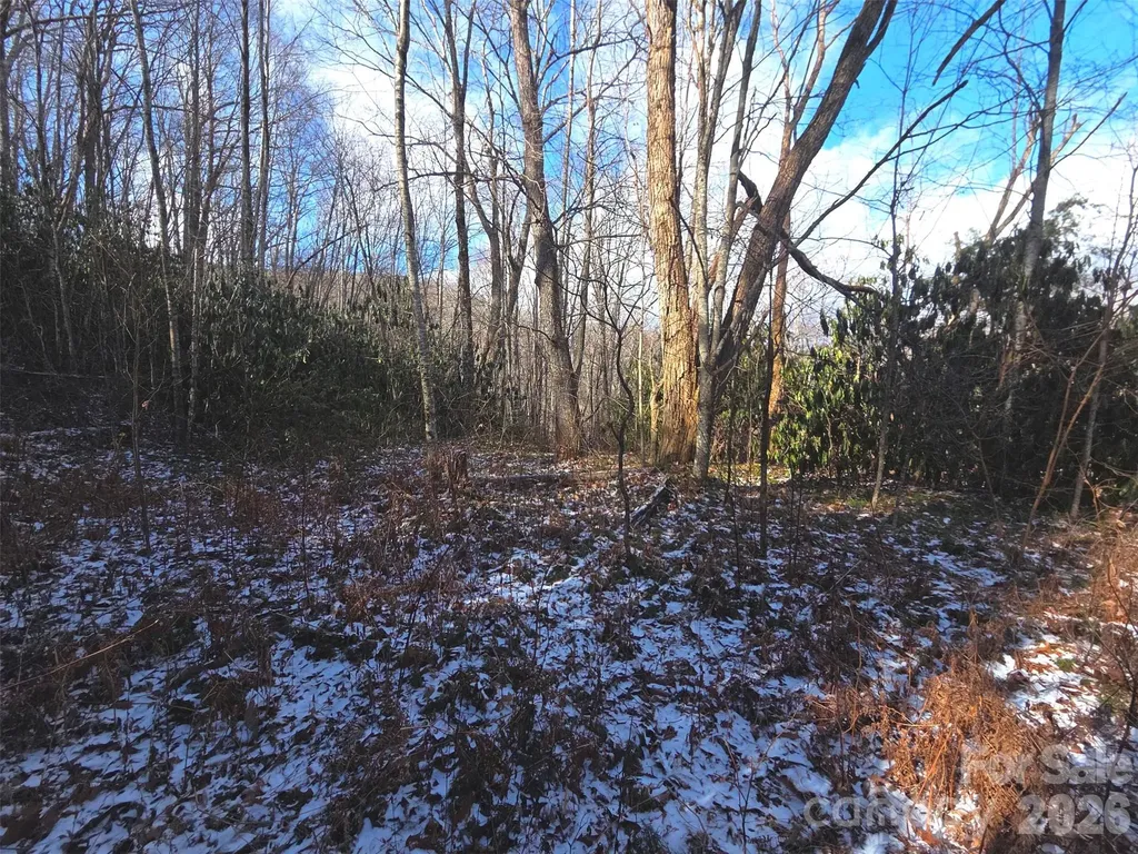 10 Tall Oaks Drive Maggie Valley NC 28751