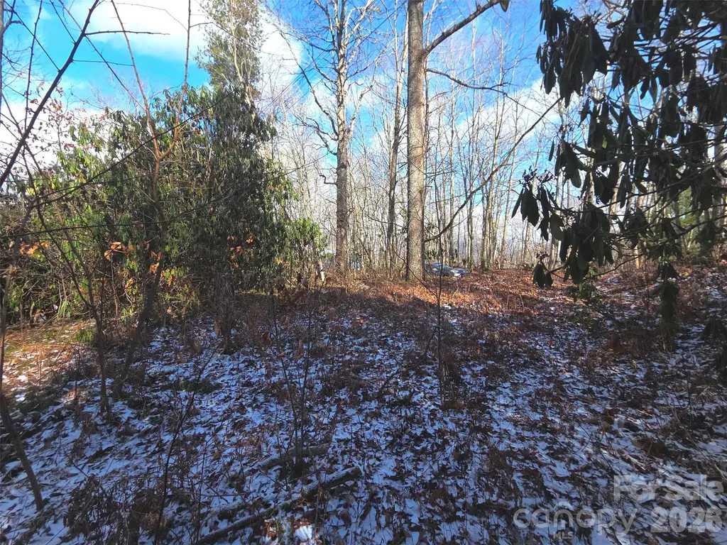 10 Tall Oaks Drive Maggie Valley NC 28751