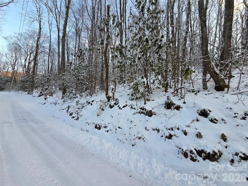10 Tall Oaks Drive Maggie Valley NC 28751