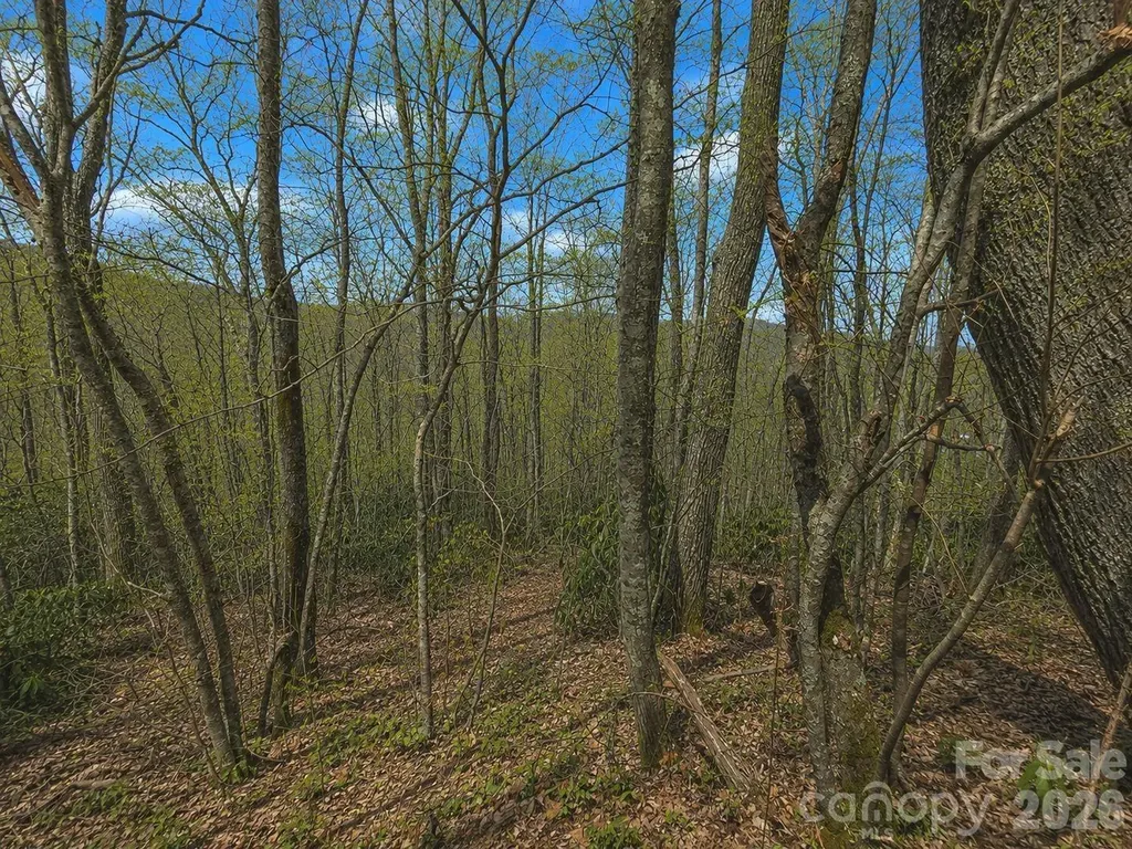 10 Tall Oaks Drive Maggie Valley NC 28751