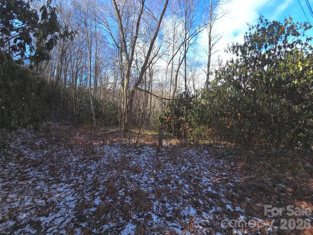 10 Tall Oaks Drive Maggie Valley NC 28751