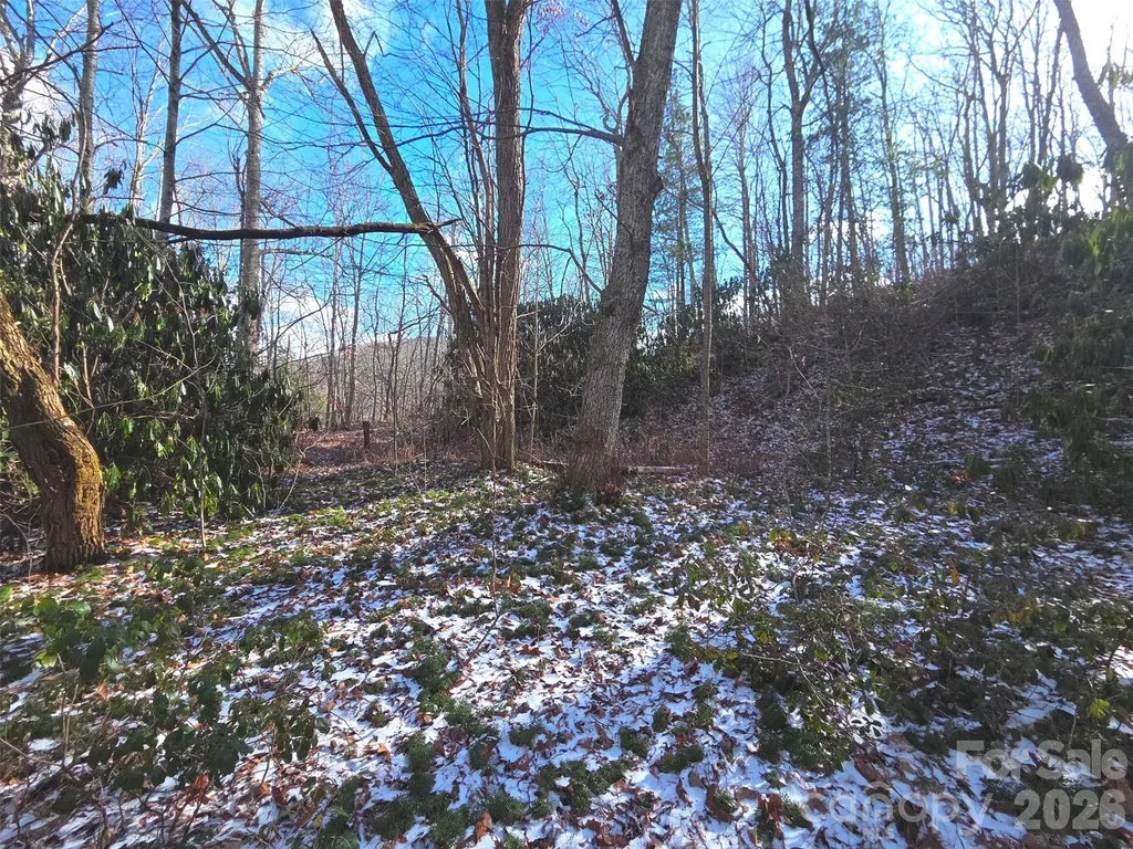10 Tall Oaks Drive Maggie Valley NC 28751