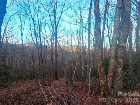 10 Tall Oaks Drive Maggie Valley NC 28751