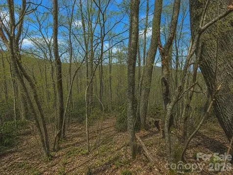 10 Tall Oaks Drive Maggie Valley NC 28751
