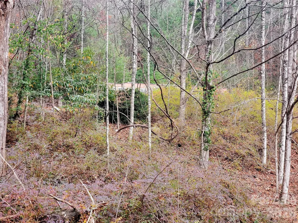 2701 Gouges Creek Road Spruce Pine NC 28777
