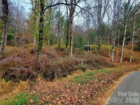 2701 Gouges Creek Road Spruce Pine NC 28777