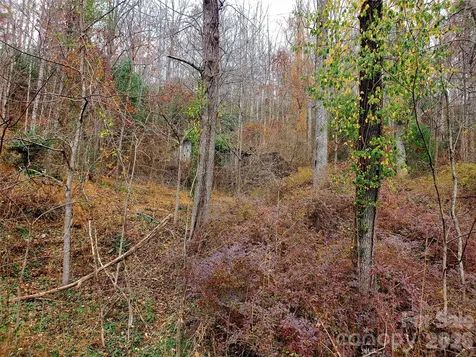 2701 Gouges Creek Road Spruce Pine NC 28777