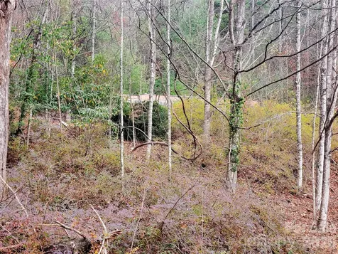 2701 Gouges Creek Road Spruce Pine NC 28777