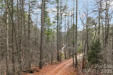 109 Tumblebug Trail Road Flat Rock NC 28731