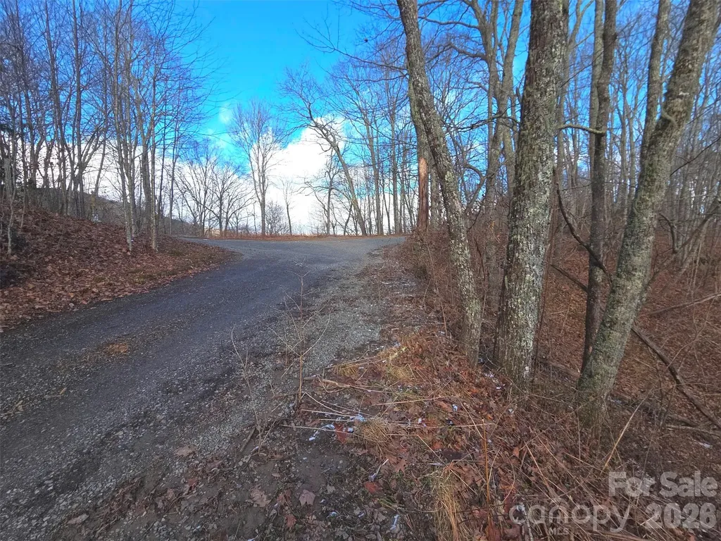 220 Sky Drive Maggie Valley NC 28751