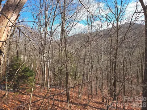 220 Sky Drive Maggie Valley NC 28751