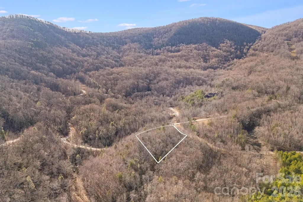 2049 W Deep Gap Farm Road Mill Spring NC 28756