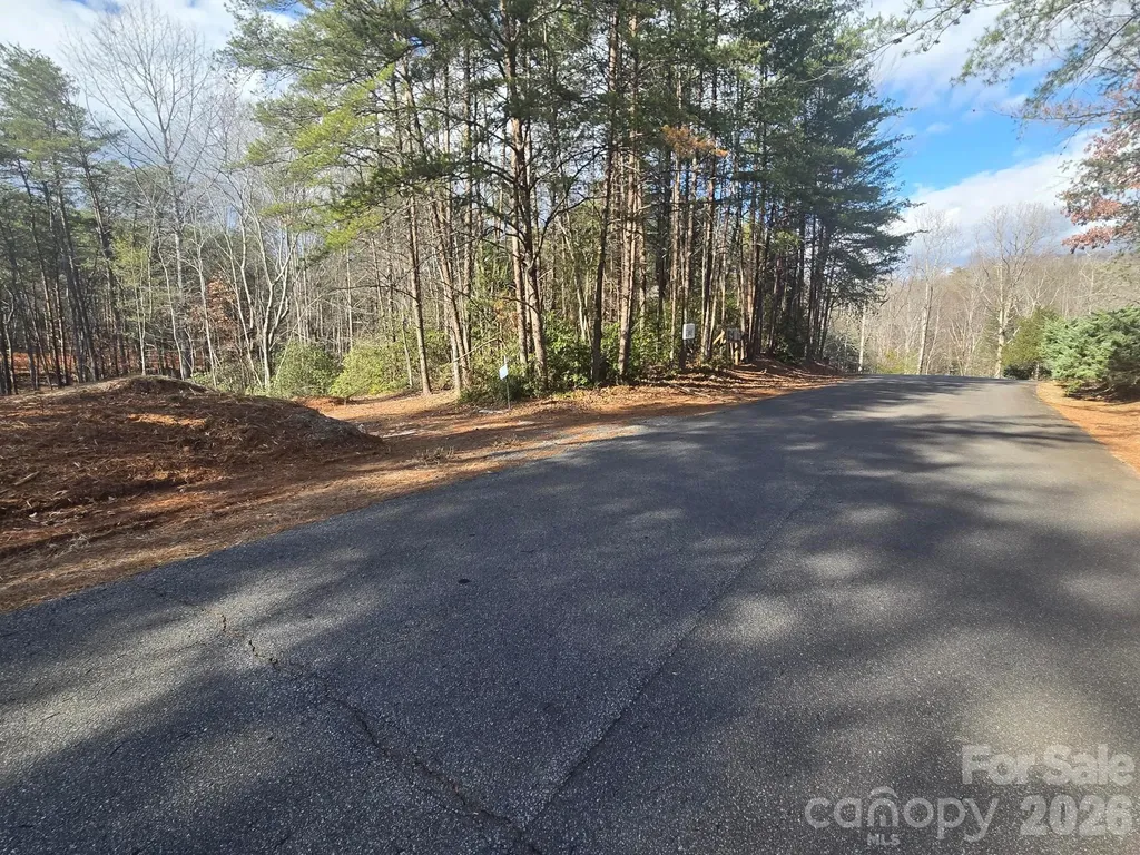 Lot 38 Dalton Court Lake Lure NC 28746