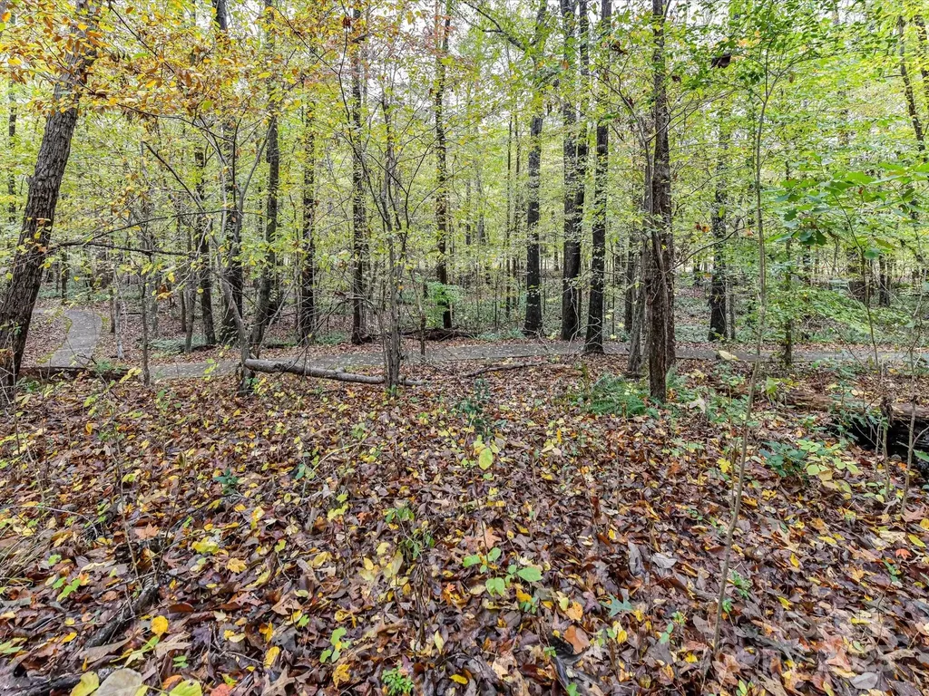 8004 Penman Springs Drive Waxhaw NC 28173
