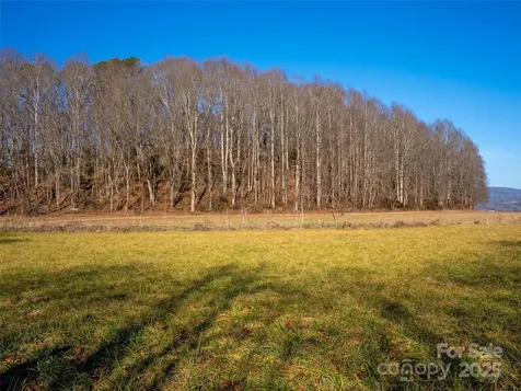 000 Lyons Mountain Road Brevard NC 28712
