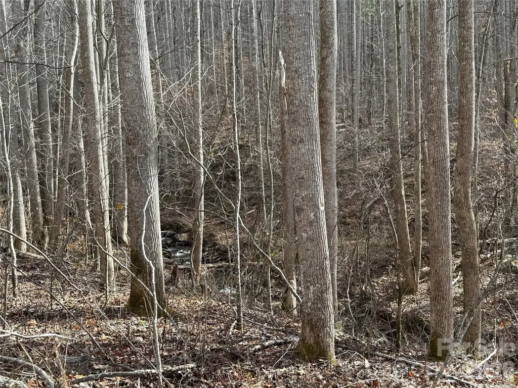 00000 Martins Creek Road Barnardsville NC 28709