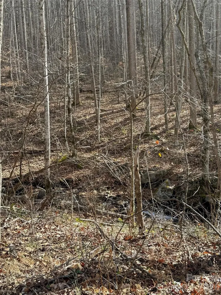 00000 Martins Creek Road Barnardsville NC 28709