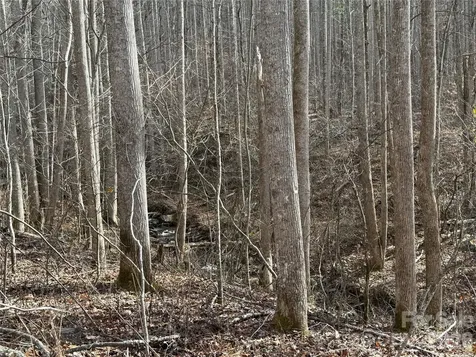 00000 Martins Creek Road Barnardsville NC 28709