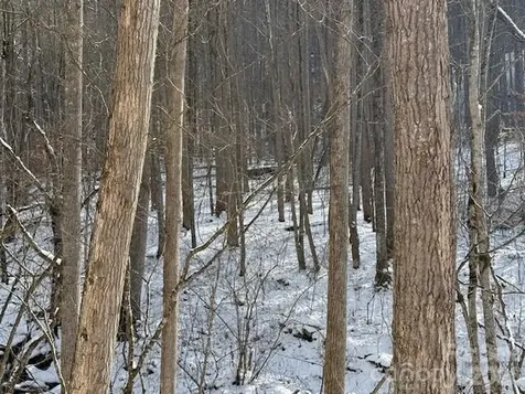 00000 Martins Creek Road Barnardsville NC 28709