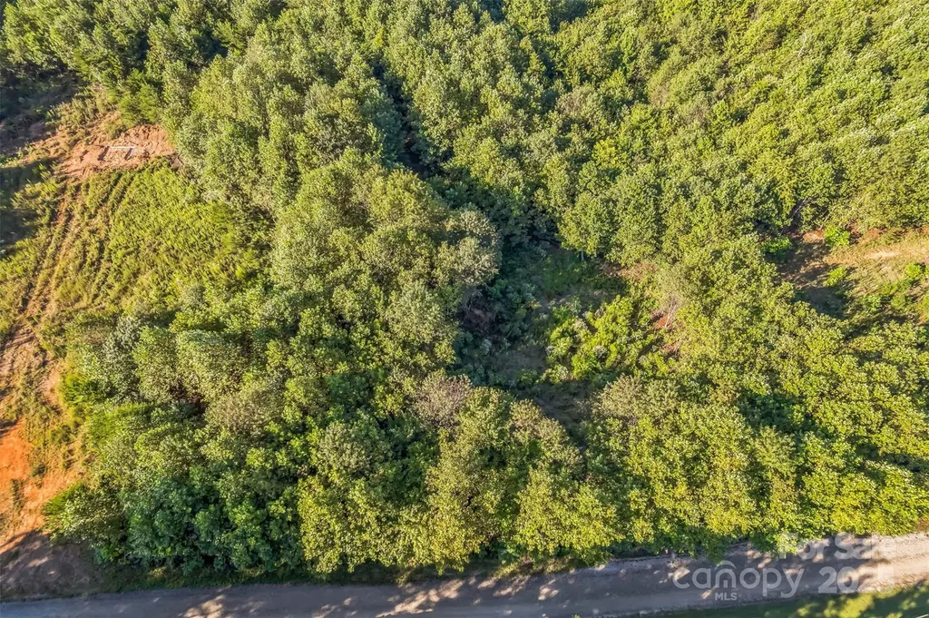 307 Rc Road Traphill NC 28685