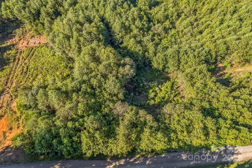 307 Rc Road Traphill NC 28685