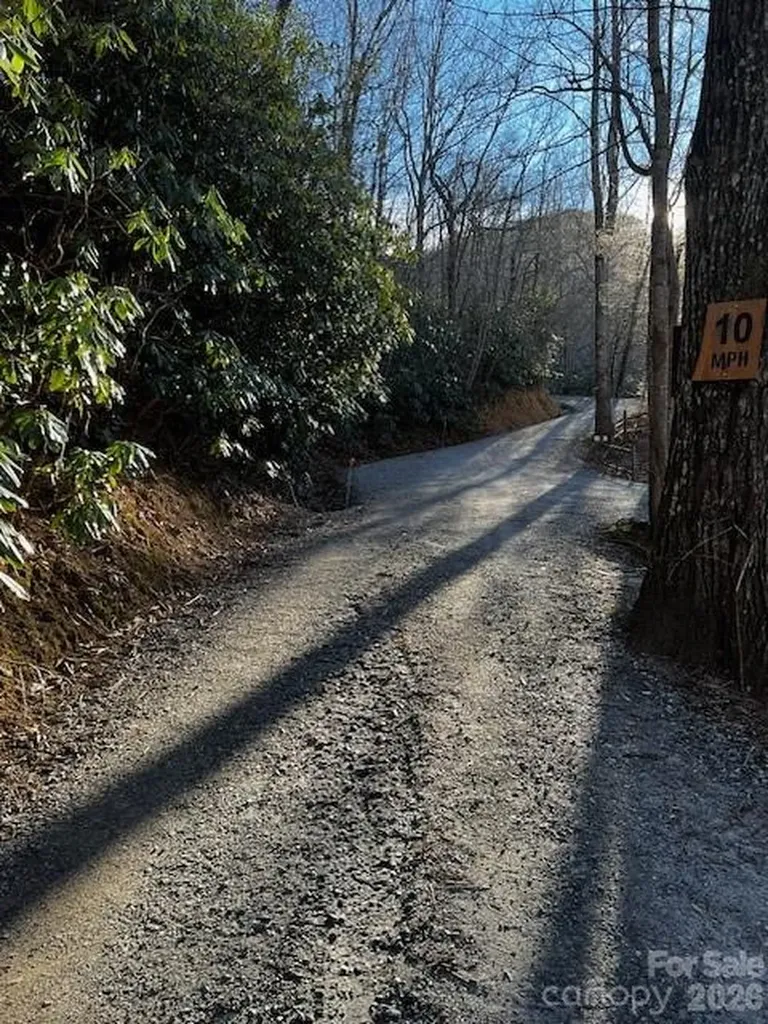 9999 Tessie Lane Black Mountain NC 28711