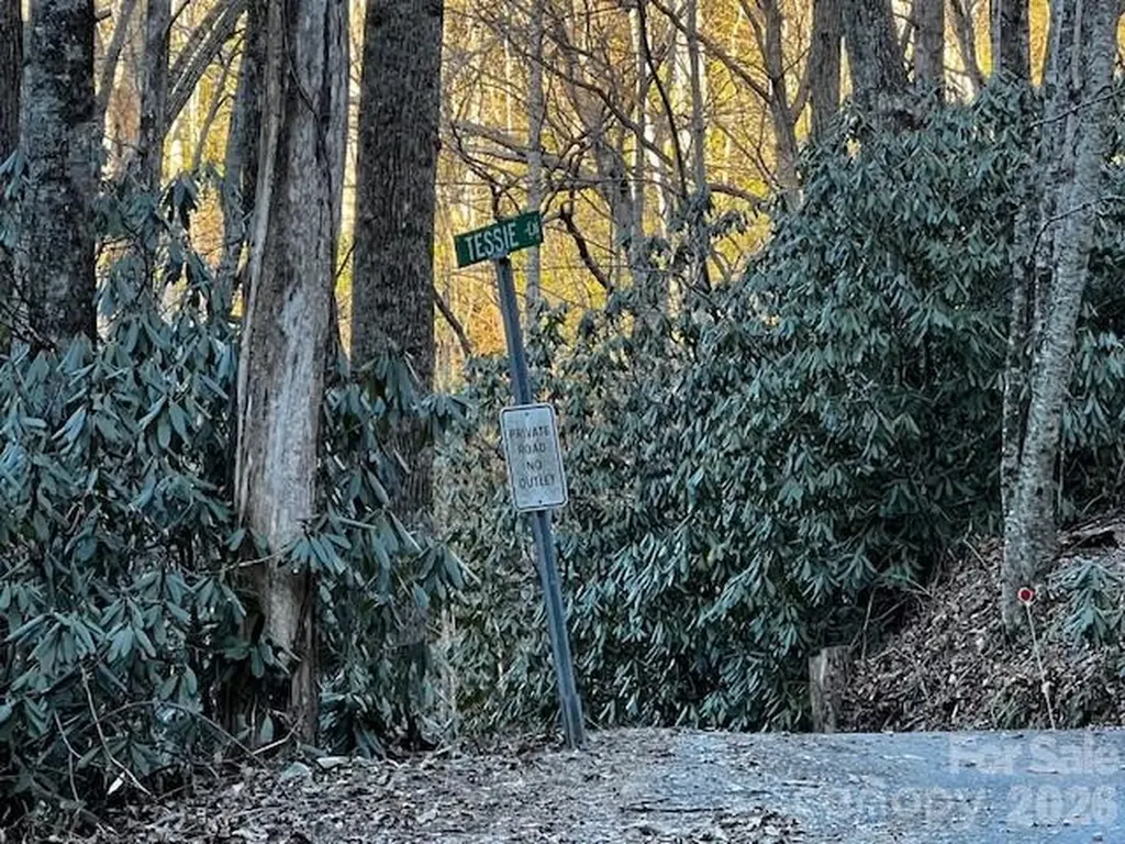 9999 Tessie Lane Black Mountain NC 28711