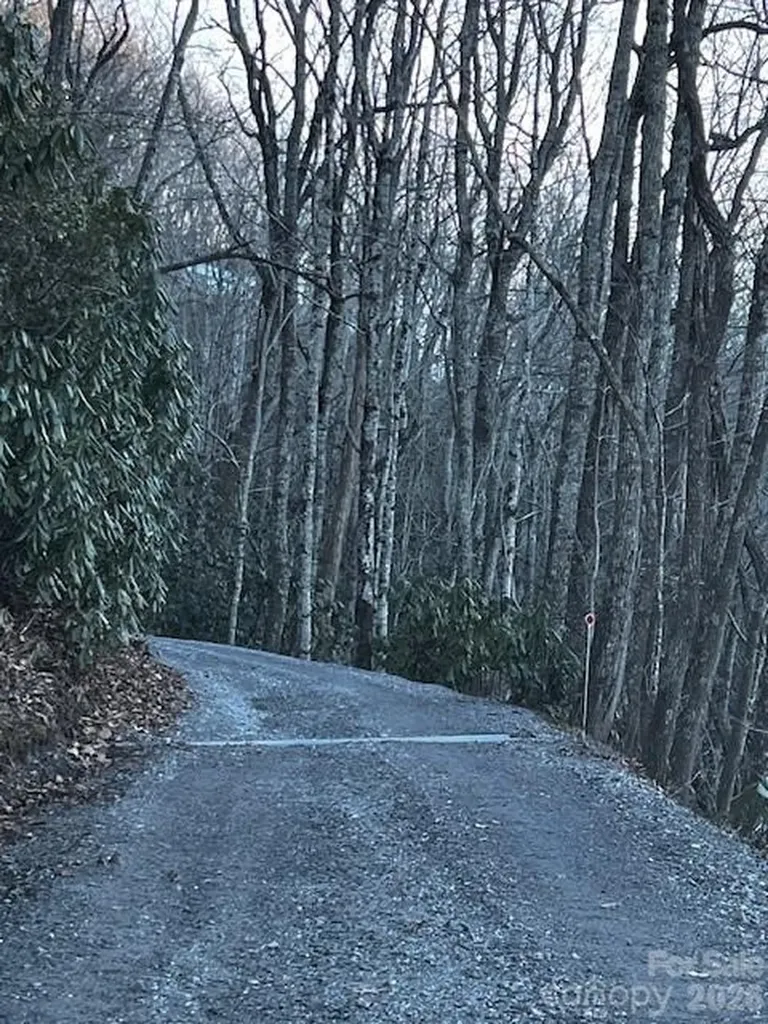 9999 Tessie Lane Black Mountain NC 28711