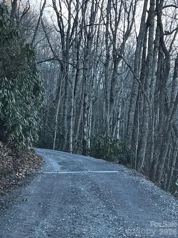 9999 Tessie Lane Black Mountain NC 28711