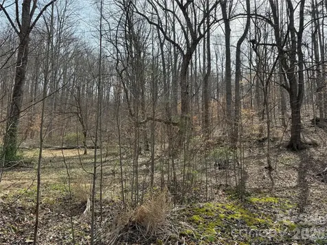 57 N Fork Road Barnardsville NC 28709