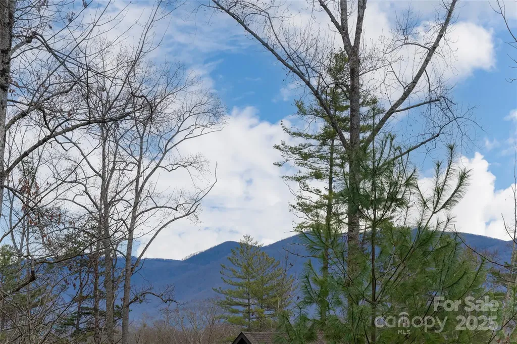 42 Towering Oaks Lane Asheville NC 28805