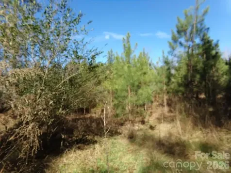 42 Ac Hwy 55 Highway Clover SC 29710