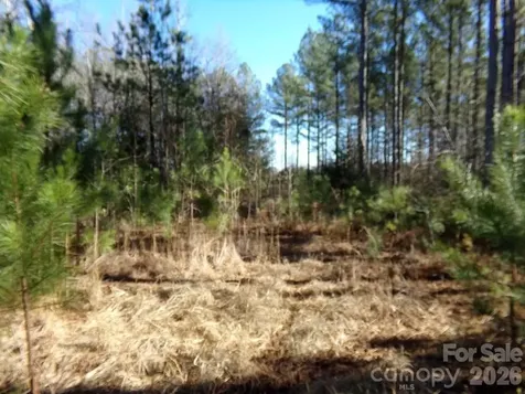 42 Ac Hwy 55 Highway Clover SC 29710