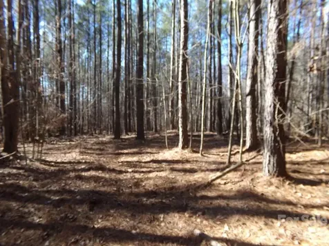 42 Ac Hwy 55 Highway Clover SC 29710