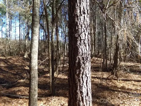 42 Ac Hwy 55 Highway Clover SC 29710